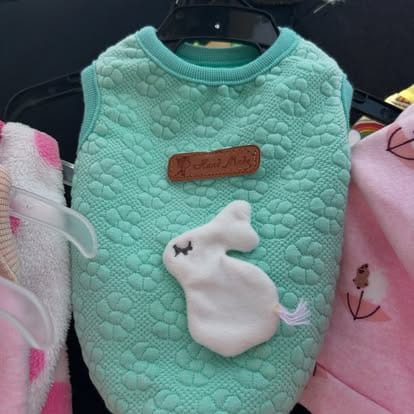 487665783_18496017235063707_4877959530284906187_n