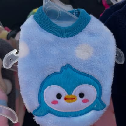 487733229_18496017136063707_568947098236265504_n