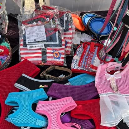 490041699_1262375249229160_422912742126138864_n