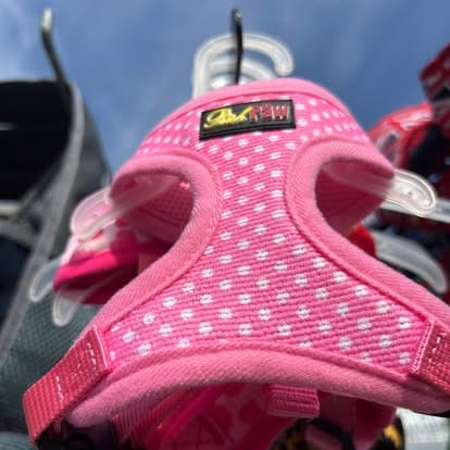 490105171_1262375119229173_1082542594618370704_n