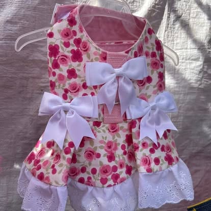 490349965_1264709655662386_5079113629468355526_n