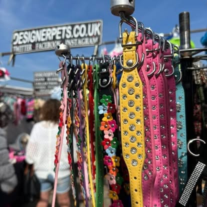 490406667_1262375285895823_6130292818887419247_n