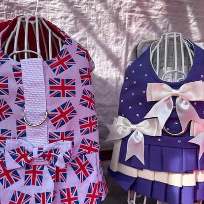 490411427_1262375195895832_2937832750444691516_n