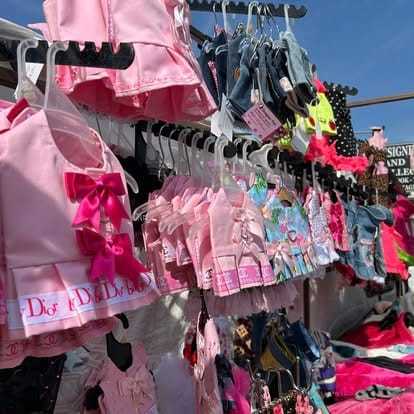 490420071_1262375335895818_4541479563415996271_n