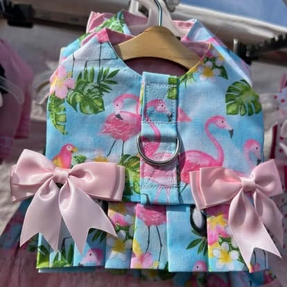 491150896_1264709728995712_2520114441936492017_n