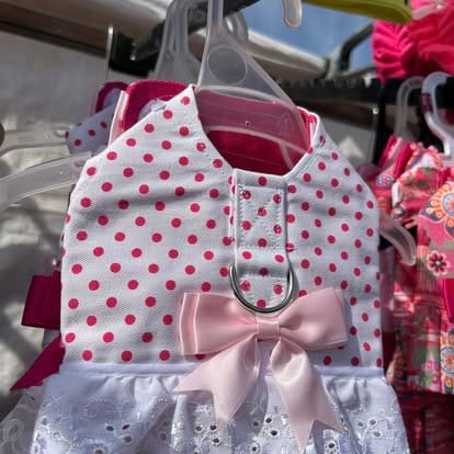 491940709_1264709712329047_5984609845328781332_n