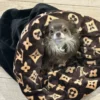 handmade designer pets items snuggle sack