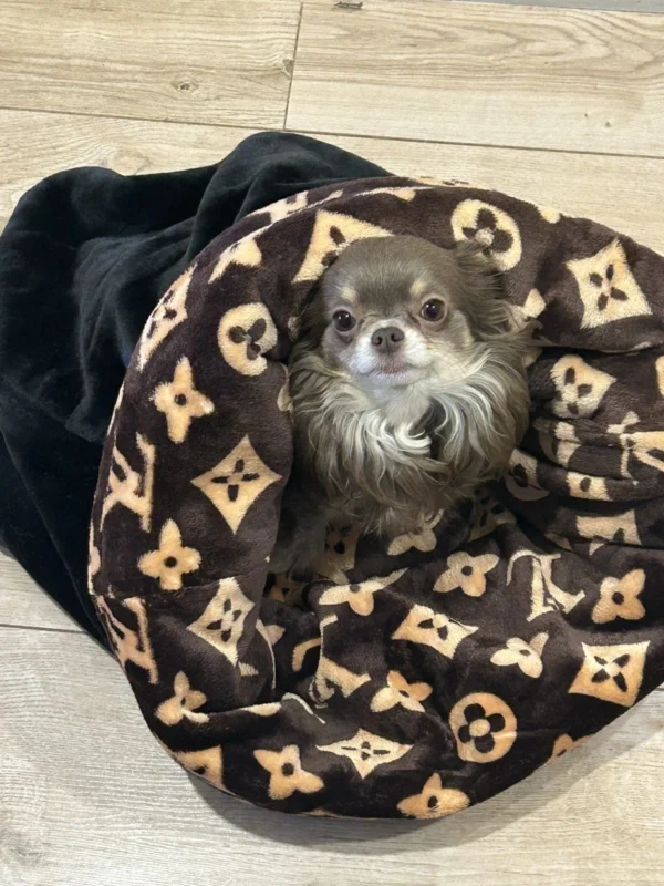handmade designer pets items snuggle sack