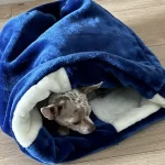 handmade designer pets items snuggle sack
