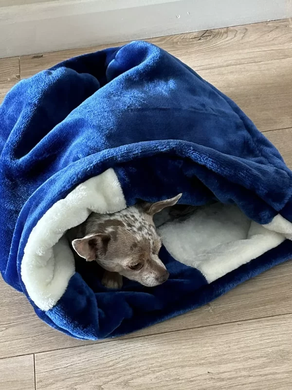 handmade designer pets items snuggle sack