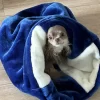 handmade designer pets items snuggle sack