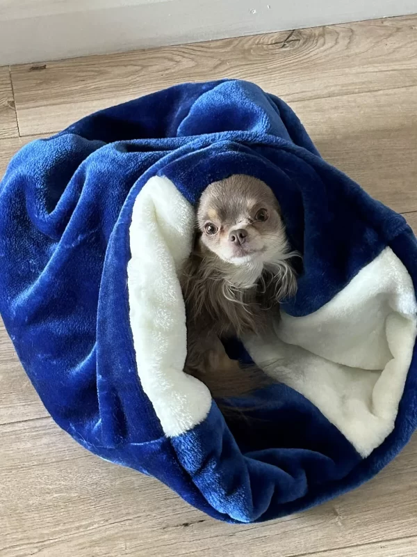 handmade designer pets items snuggle sack