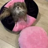 handmade designer pets items snuggle sack