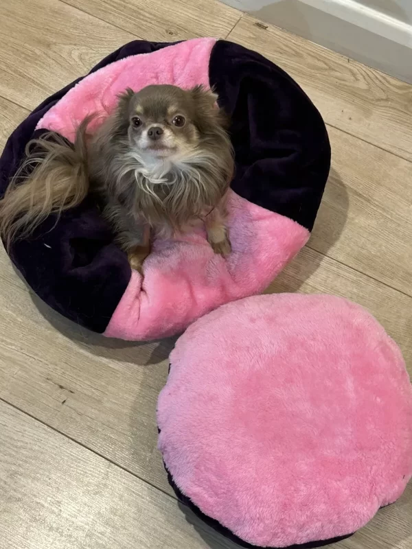 handmade designer pets items snuggle sack