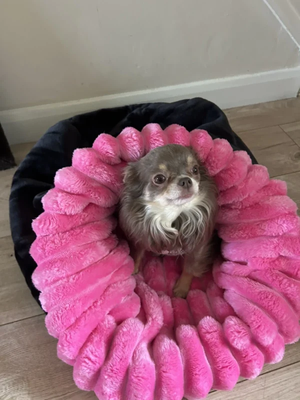 handmade designer pets items snuggle sack