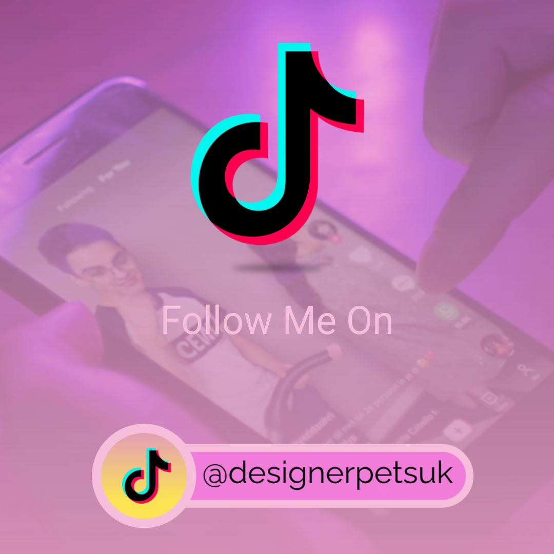 follow us on tiktok link page