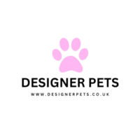 square dp mobile logo