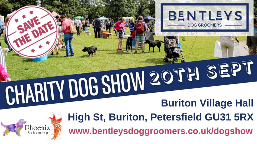 bentley charity dog show